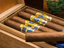 Load image into Gallery viewer, Falto Lancero