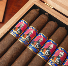 Load image into Gallery viewer, Foundation Aksum