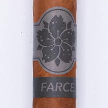 Load image into Gallery viewer, Room 101 Farce