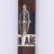 Load image into Gallery viewer, CAO Pilon Anejo