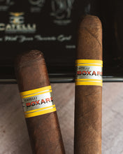 Load image into Gallery viewer, Catelli Boxare Sumatra