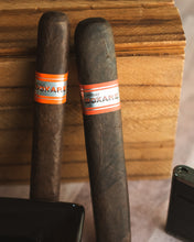 Load image into Gallery viewer, Catelli Boxare Maduro