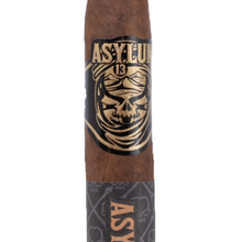 Load image into Gallery viewer, Asylum Arabian Nights