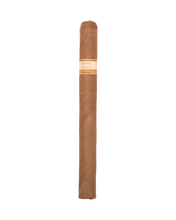 Load image into Gallery viewer, Catelli Damn Tasty Connecticut
