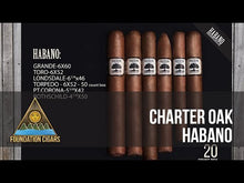 Load and play video in Gallery viewer, Foundation Charter Oak
