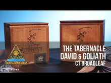 Load and play video in Gallery viewer, Foundation The Tabernacle Connecticut Broadleaf
