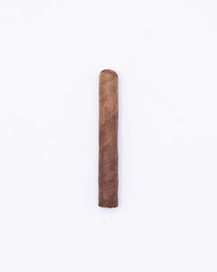 CAO Amazon Basin (2025)