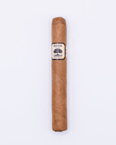 Foundation Charter Oak