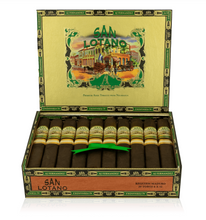 Load image into Gallery viewer, AJ Fernandez San Lotano Requiem Maduro
