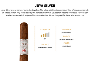Joya Silver by Joya de Nicaragua