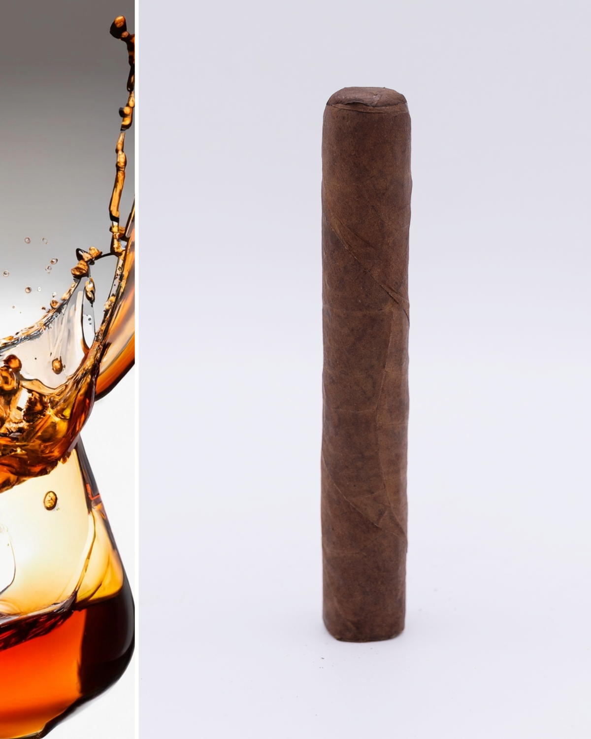 The Taster COGNAC 700mlブランデー The Taster COGNAC 700mlブランデー すべてのカテゴリ