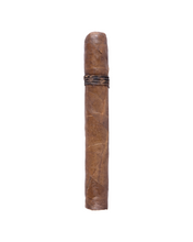 Load image into Gallery viewer, CAO Amazon Basin Anejo 2026

