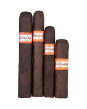 Load image into Gallery viewer, Catelli Boxare Maduro
